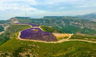 山东村庄出16名博士 山东村庄出16名博士